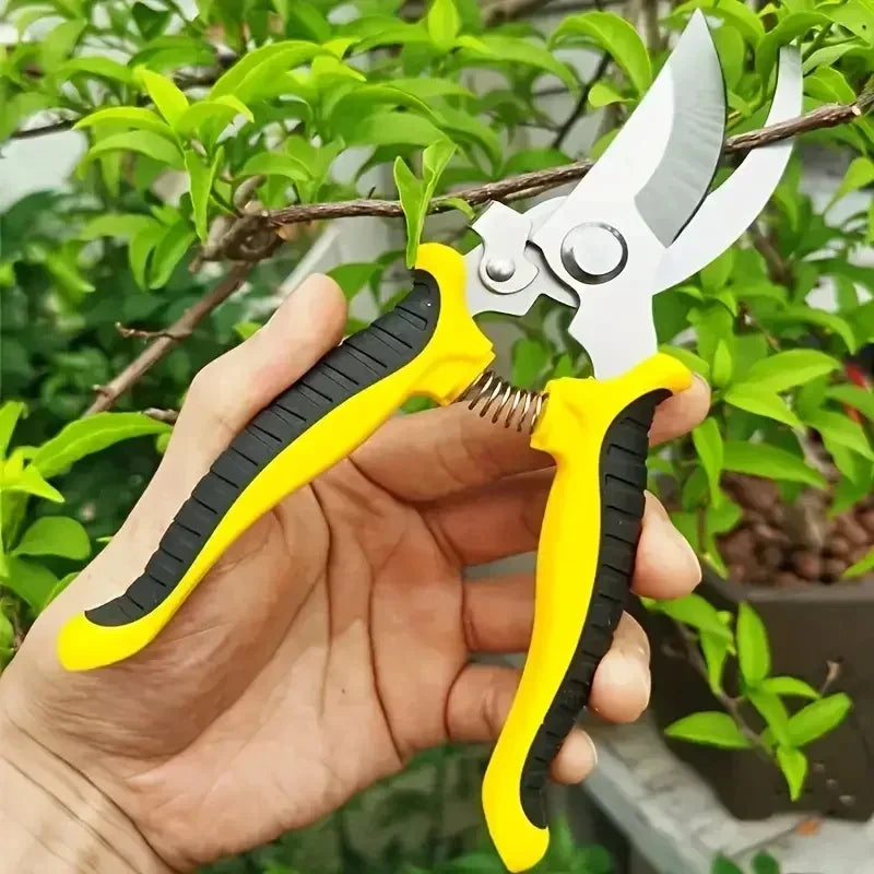 Garden Scissors: Pruning Shears